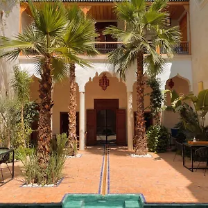 Lion Rouge Morocco